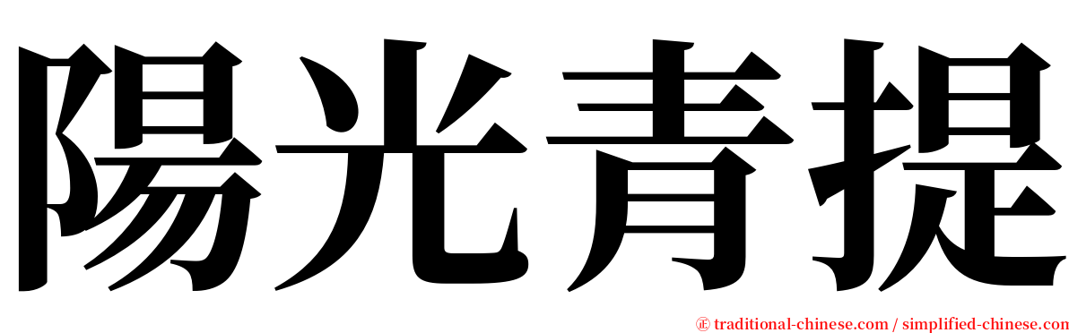 陽光青提 serif font
