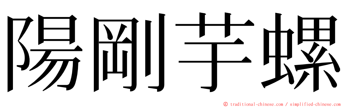 陽剛芋螺 ming font