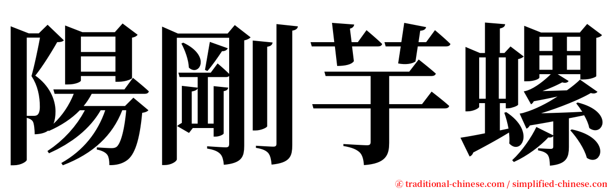 陽剛芋螺 serif font