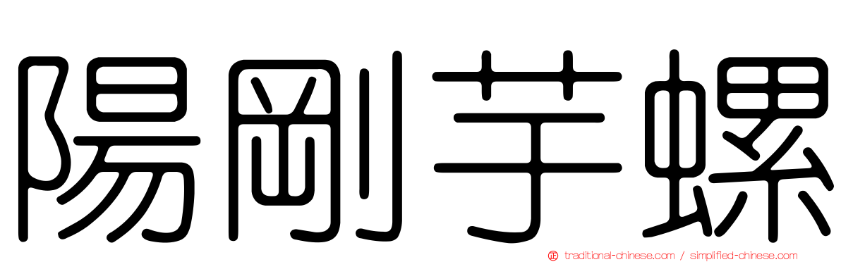 陽剛芋螺