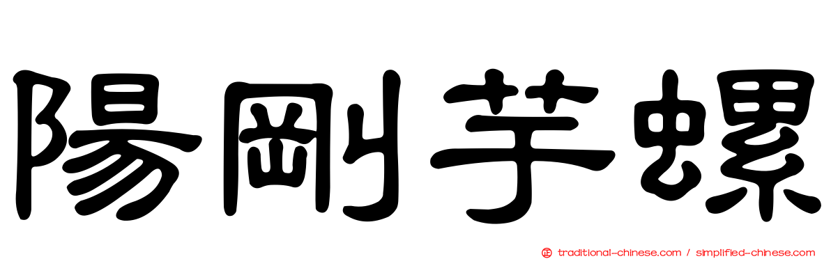 陽剛芋螺