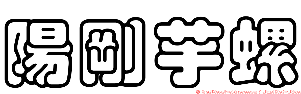 陽剛芋螺