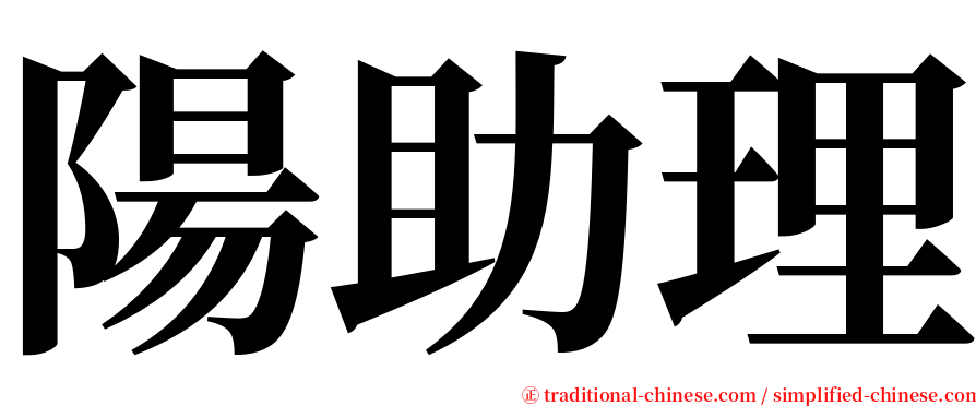 陽助理 serif font