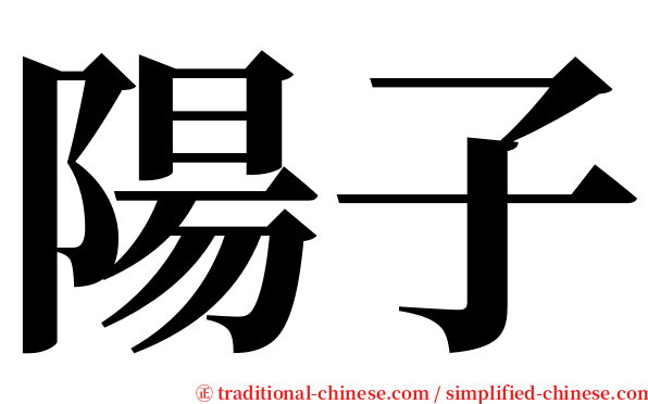 陽子 serif font