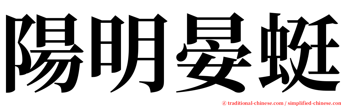 陽明晏蜓 serif font