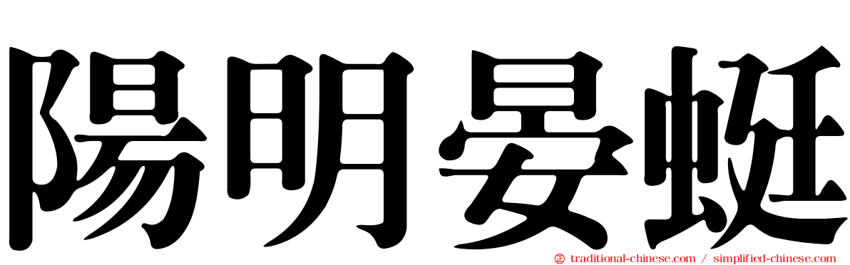 陽明晏蜓