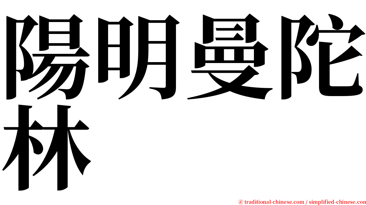 陽明曼陀林 serif font