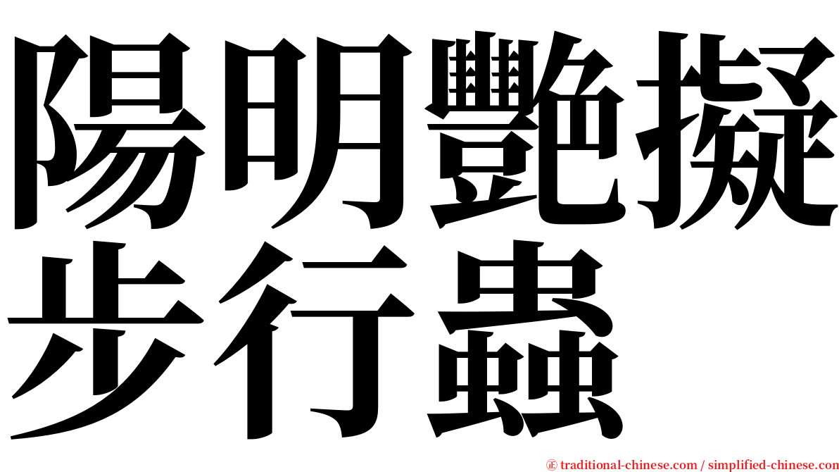 陽明艷擬步行蟲 serif font