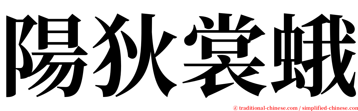 陽狄裳蛾 serif font