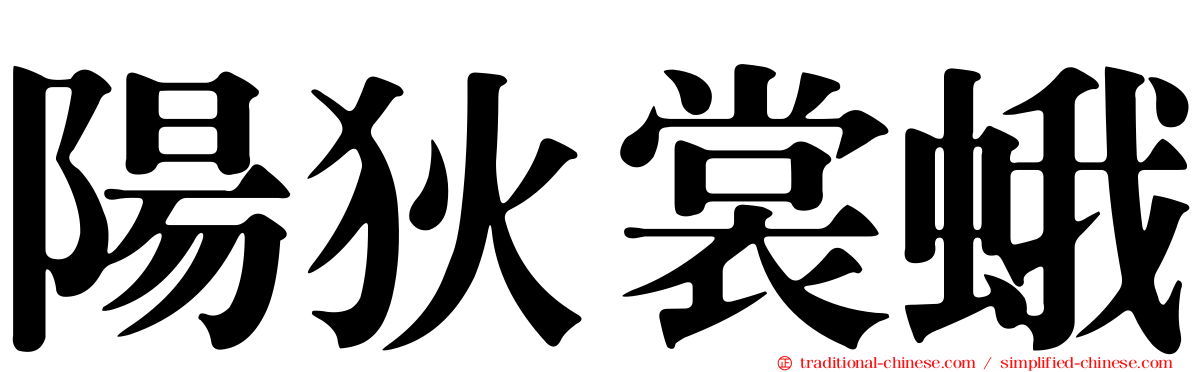 陽狄裳蛾