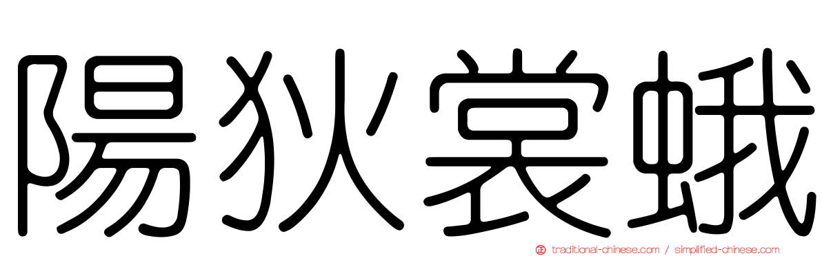 陽狄裳蛾