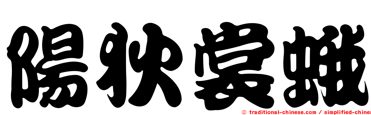 陽狄裳蛾