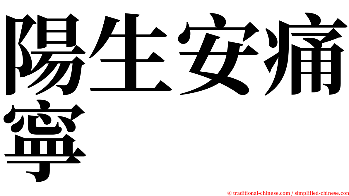 陽生安痛寧 serif font