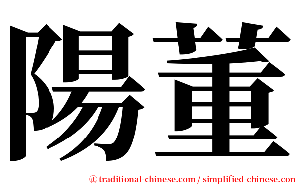 陽董 serif font