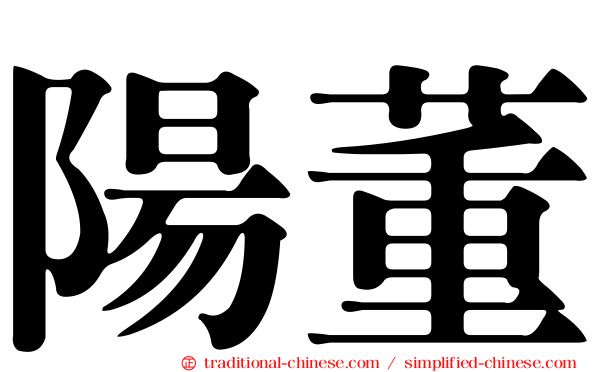 陽董