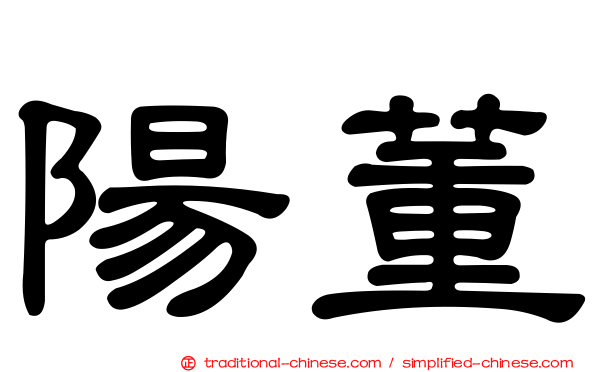 陽董