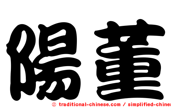 陽董