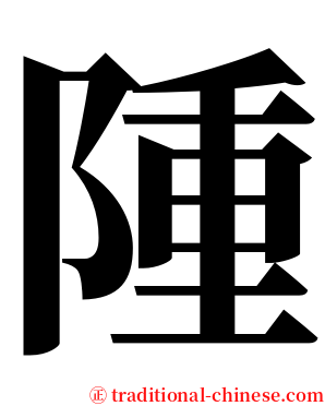 隀 serif font