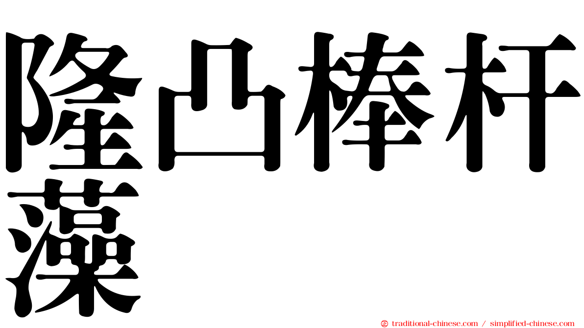隆凸棒杆藻