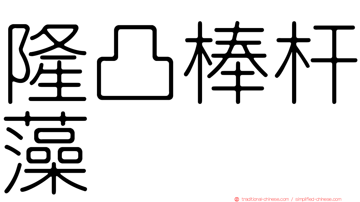 隆凸棒杆藻