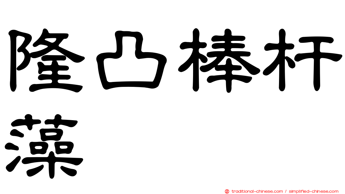 隆凸棒杆藻