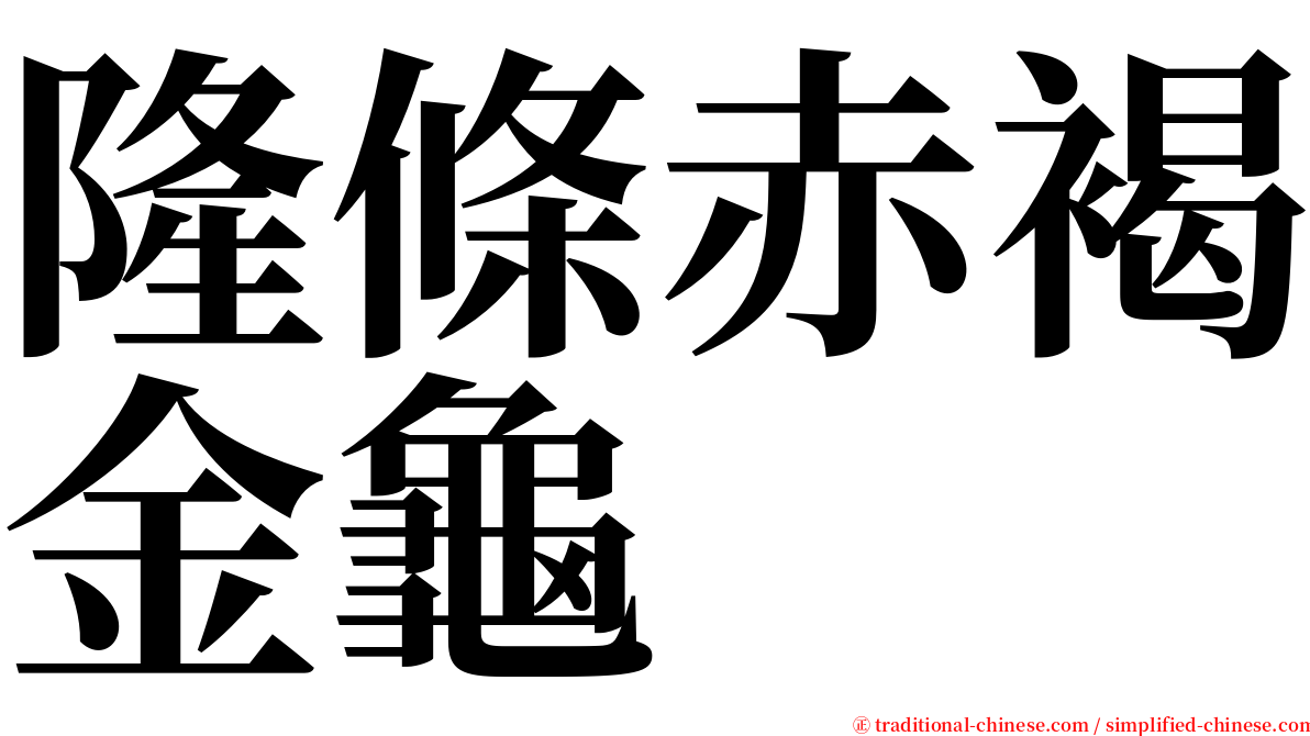 隆條赤褐金龜 serif font