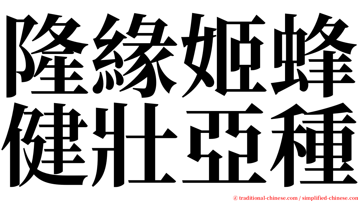 隆緣姬蜂健壯亞種 serif font
