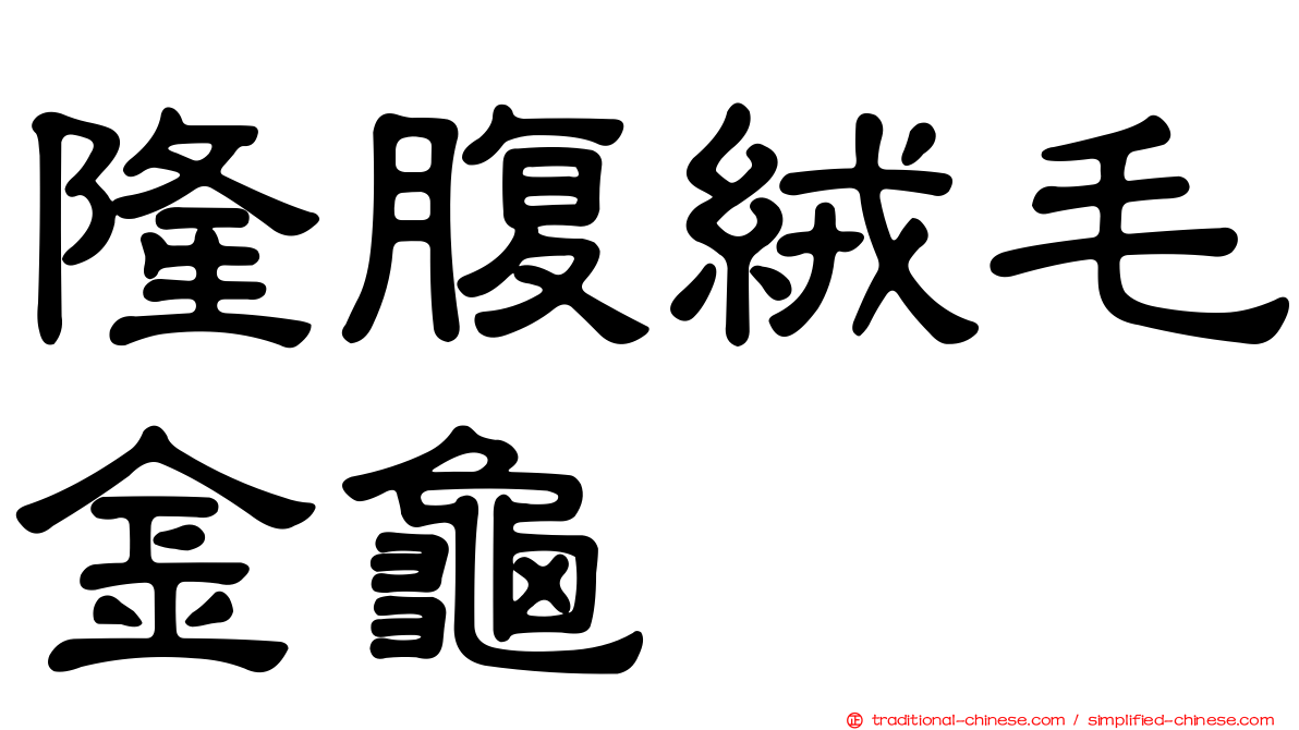 隆腹絨毛金龜