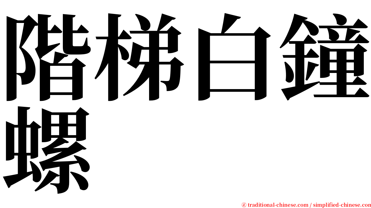 階梯白鐘螺 serif font