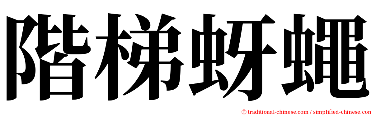 階梯蚜蠅 serif font