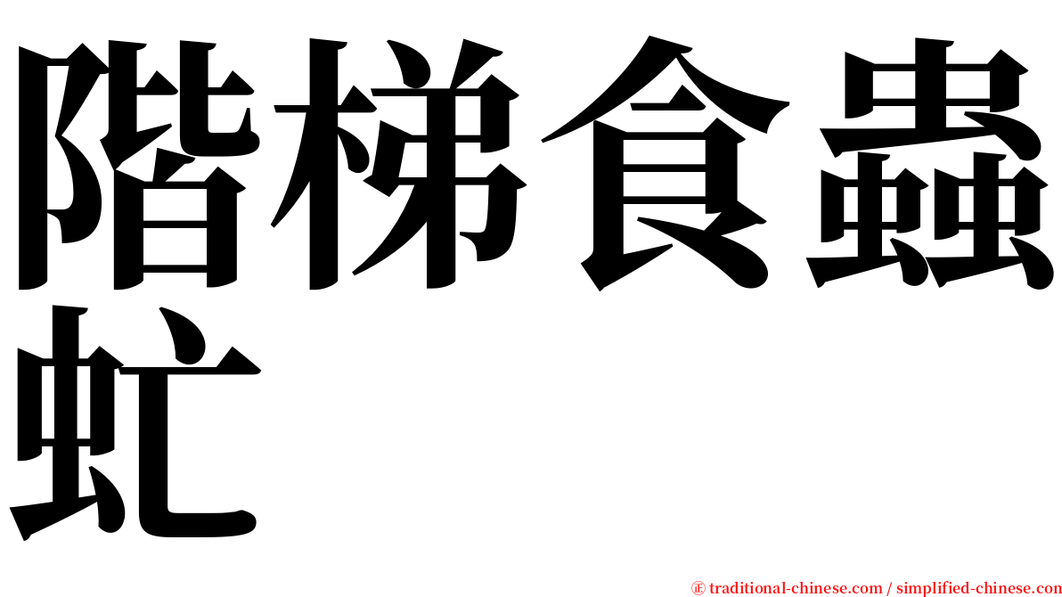 階梯食蟲虻 serif font