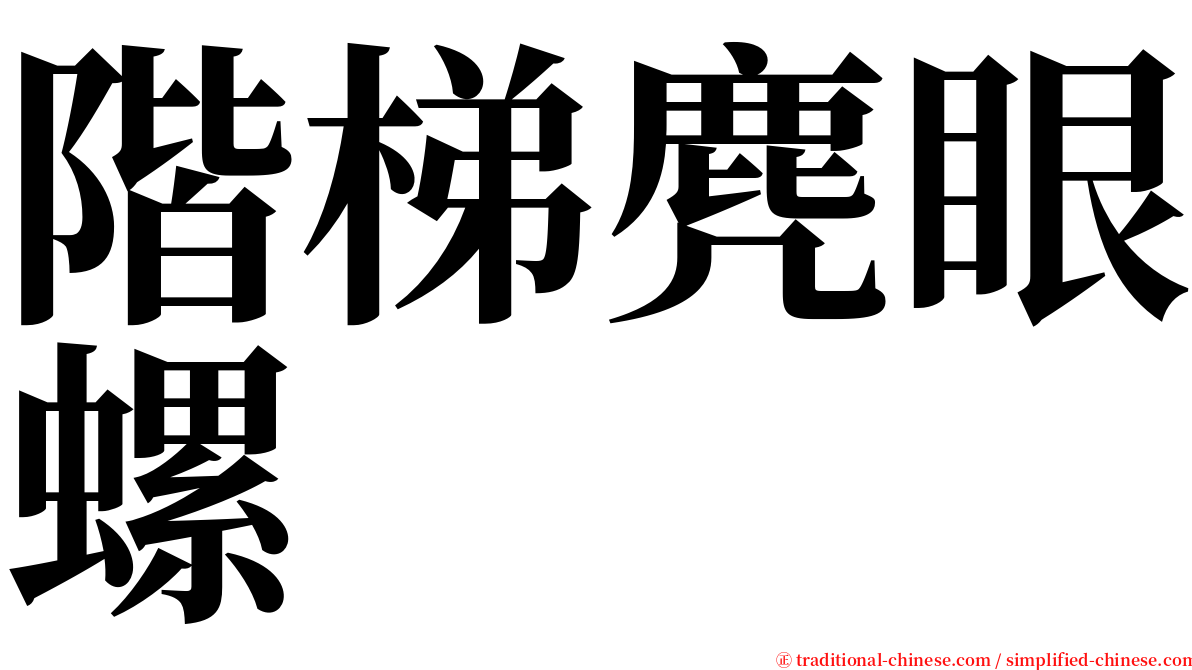 階梯麂眼螺 serif font