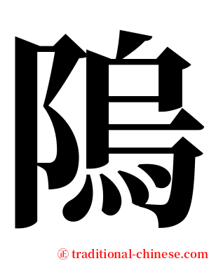 隖 serif font