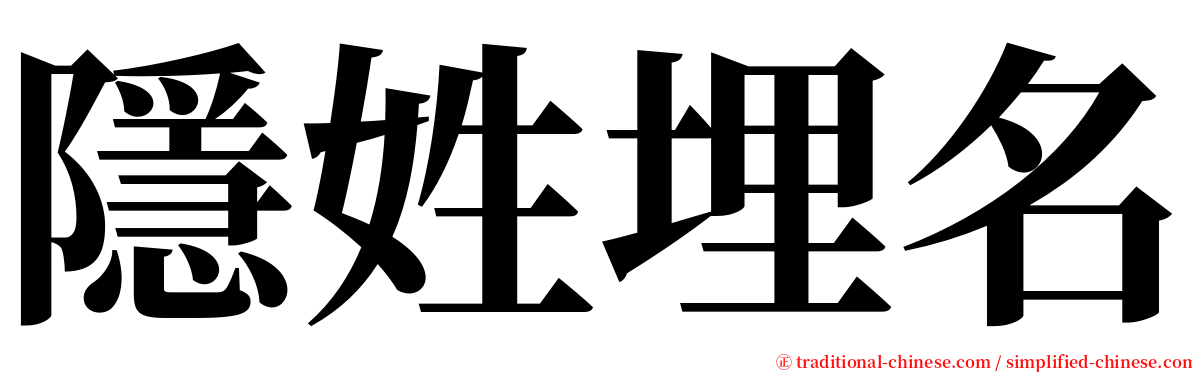 隱姓埋名 serif font