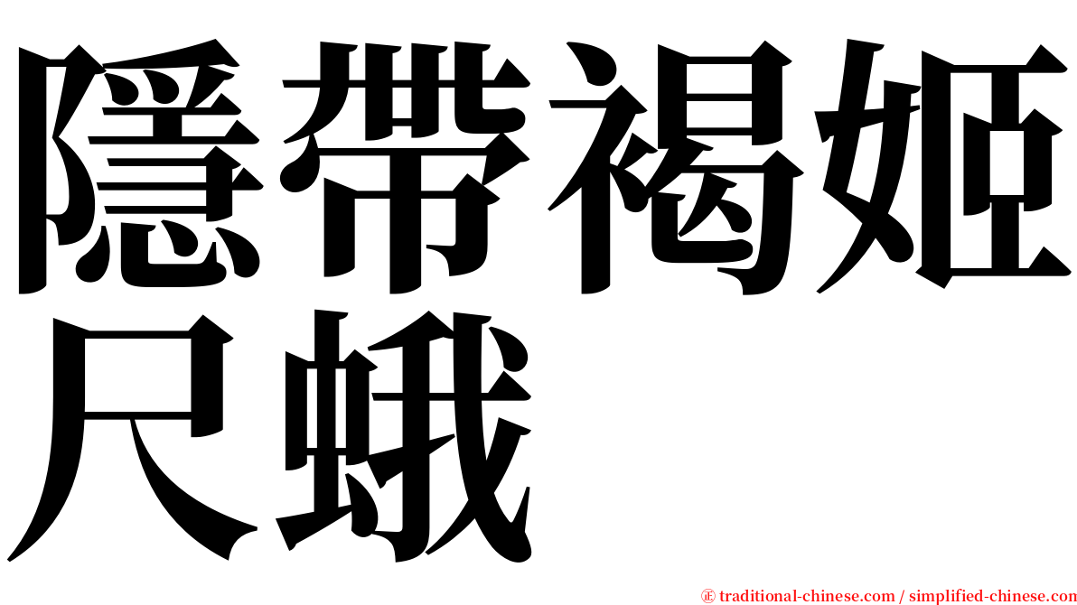 隱帶褐姬尺蛾 serif font