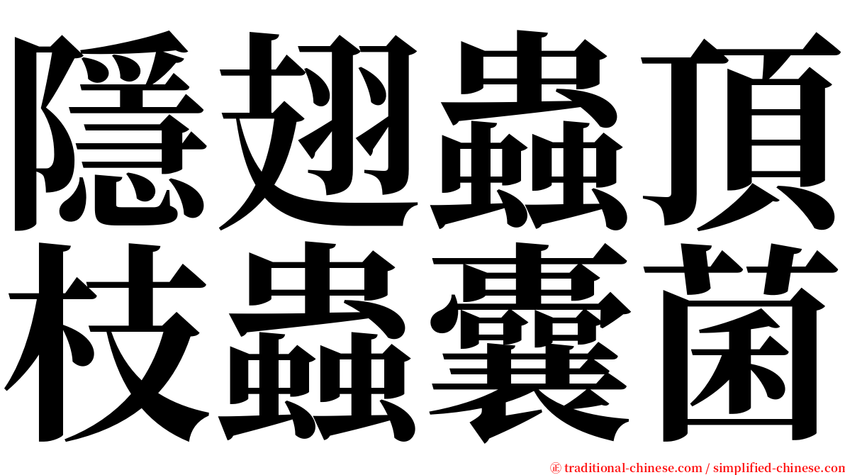 隱翅蟲頂枝蟲囊菌 serif font