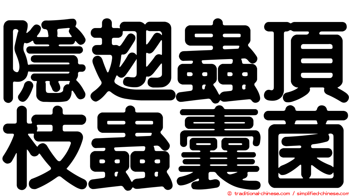 隱翅蟲頂枝蟲囊菌