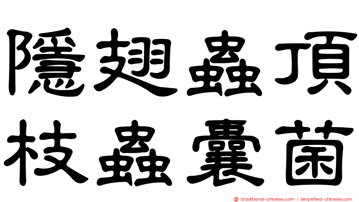 隱翅蟲頂枝蟲囊菌