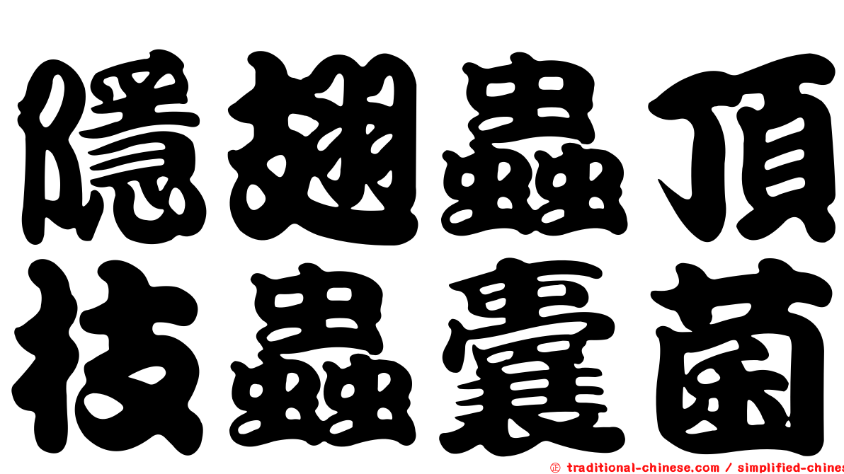 隱翅蟲頂枝蟲囊菌