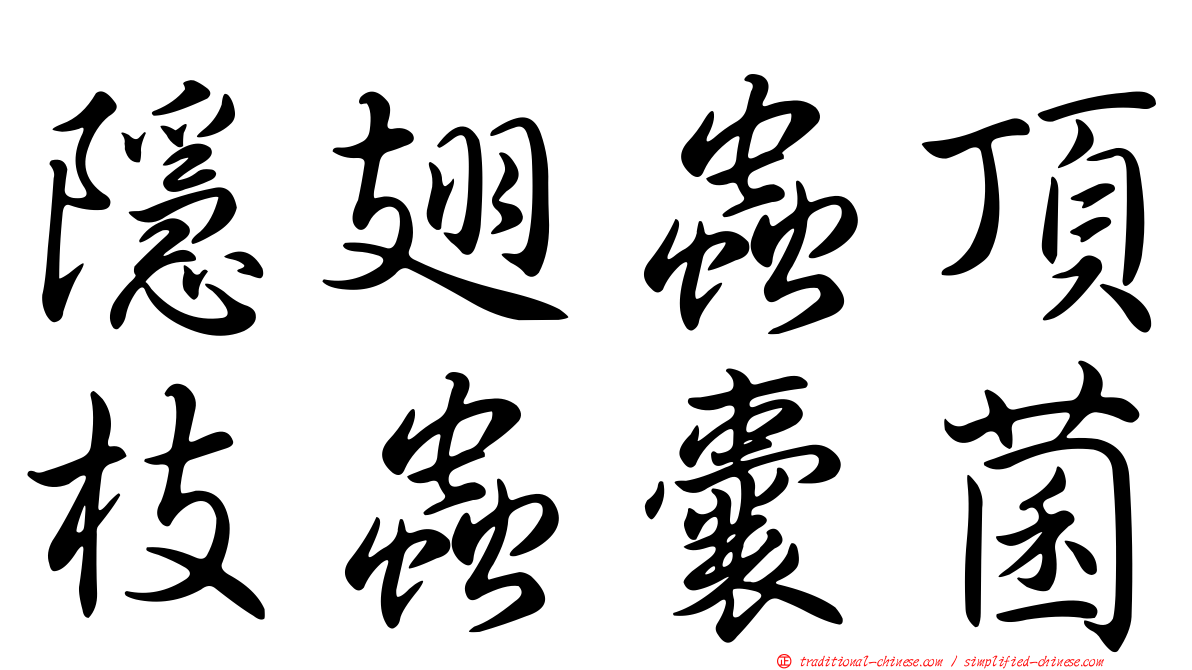 隱翅蟲頂枝蟲囊菌