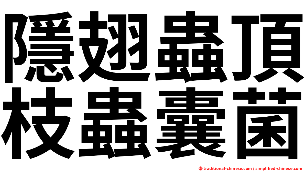 隱翅蟲頂枝蟲囊菌
