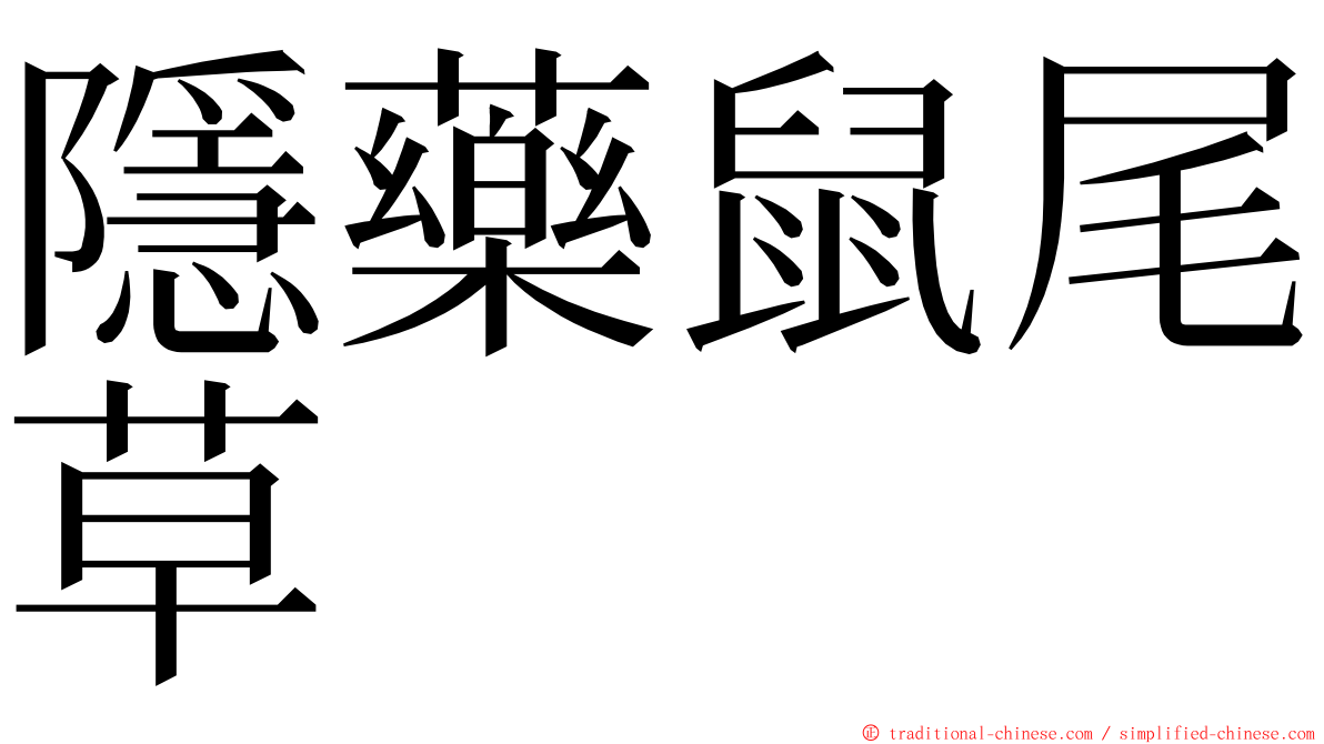 隱藥鼠尾草 ming font