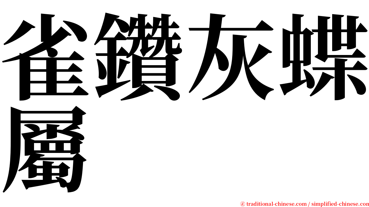 雀鑽灰蝶屬 serif font