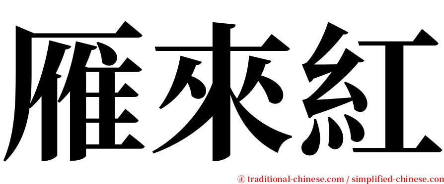 雁來紅 serif font