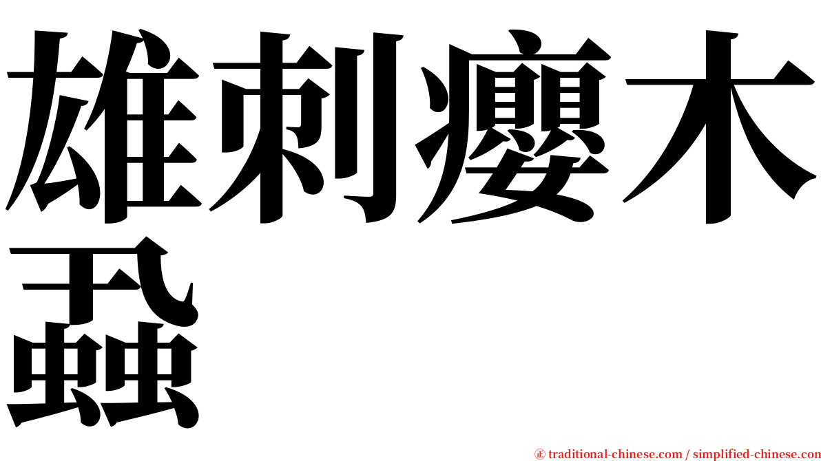 雄刺癭木蝨 serif font