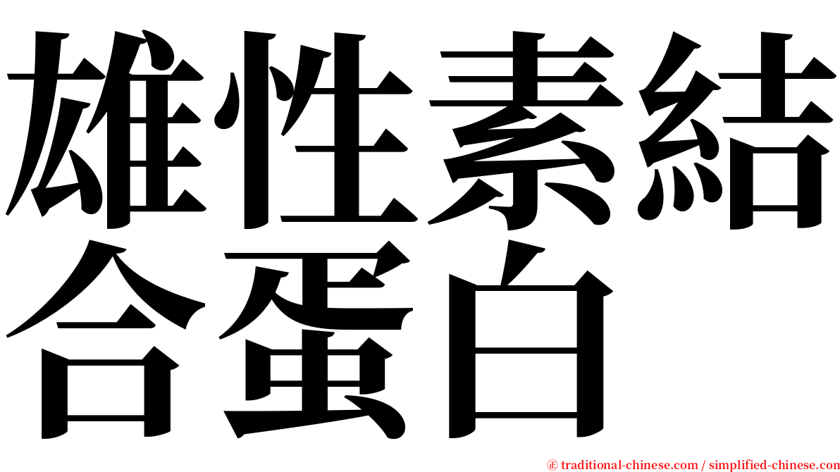 雄性素結合蛋白 serif font