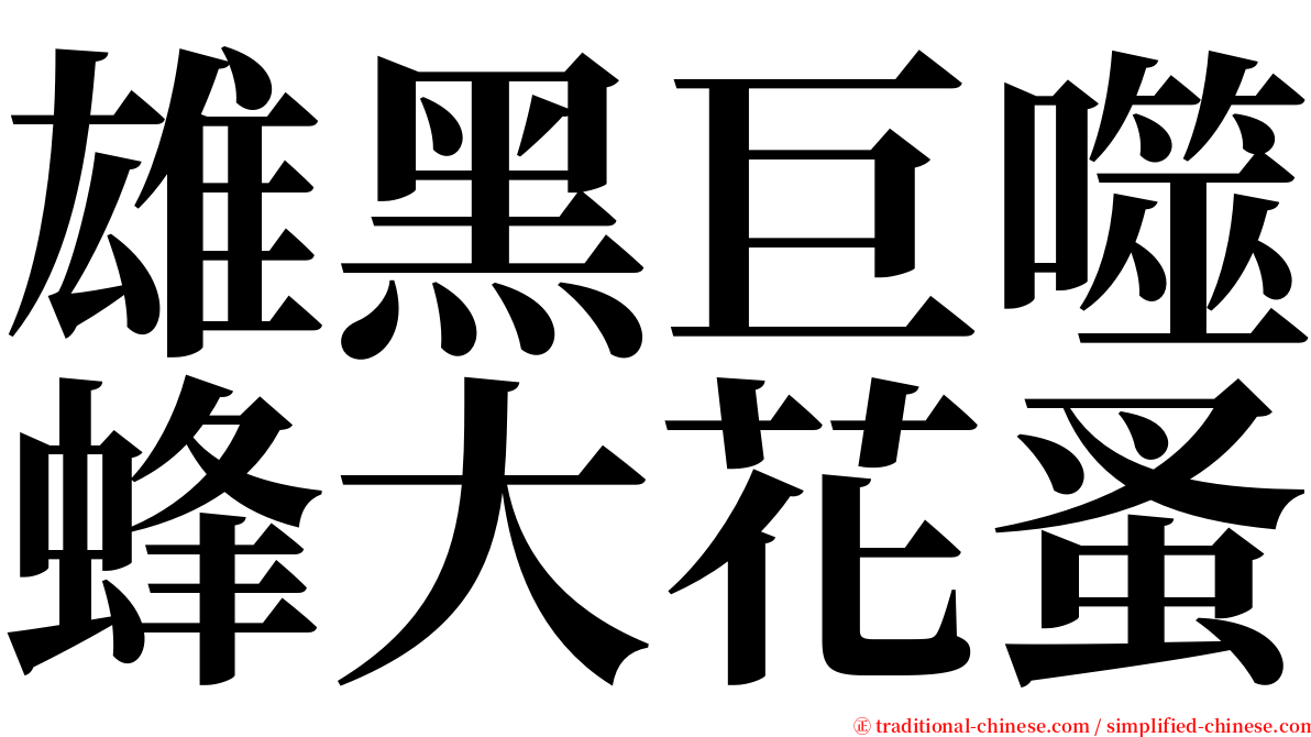 雄黑巨噬蜂大花蚤 serif font