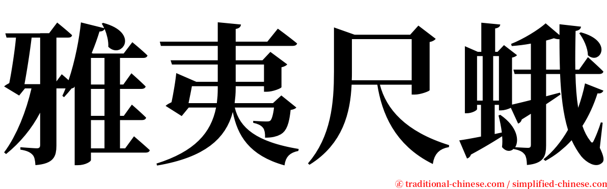 雅夷尺蛾 serif font