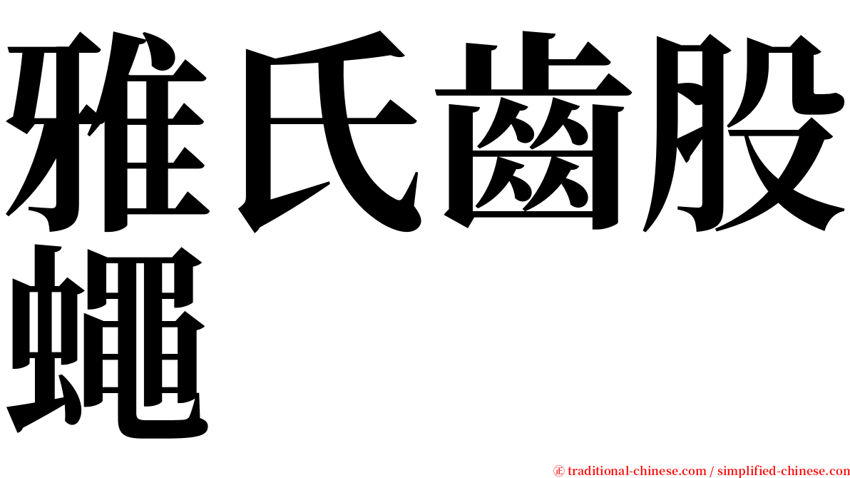 雅氏齒股蠅 serif font