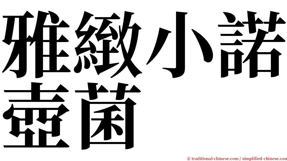 雅緻小諾壺菌 serif font